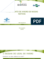 Aula 7 Investimento de Viveiro de Mudas Nativas