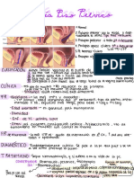Patología Del Piso Pélvico