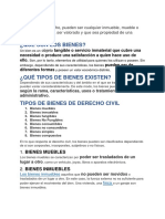 Bienes PDF