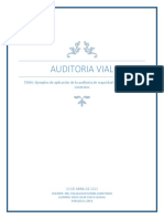 AUDITORIA ViAL SEMANA 2