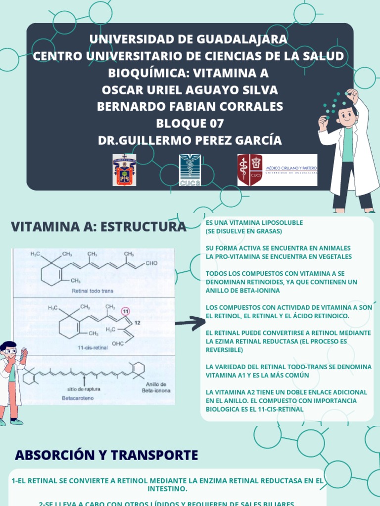 Vitamina A Pdf Pdf Vitamina A Vitamina
