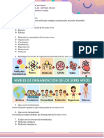 Guia - CCNN 7mo PDF