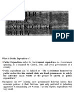 3rd Chapter Public Expenduture Policy