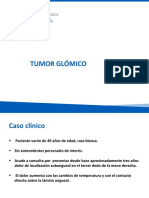 Tumor Glomico PDF