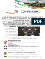 Nuestras Ambiciones de Negocio Alineadas Con Los ODS PDF