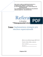 Implementarea Strategiei Prin Structura Organizațională