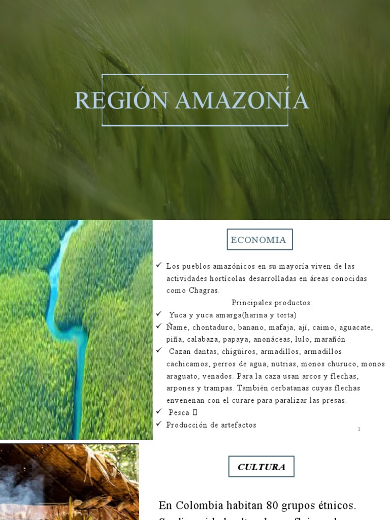 Cultura y economía de la región amazónica | PDF | Bailes | Selva amazónica