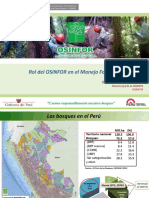 Rol Del OSINFOR en El Manejo Forestal: Ildefonzo Riquelme Ciriaco