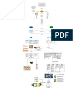 Proteínas PDF