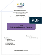 Erp-Memoire PDF