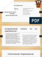 Comunicación y Comportamiento Organizacional Trabajo Final-Meza Marrujo Josue Daniel