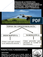 La Naturaleza de La Perspectiva Epistemológica - Perspectivas Fundamentales PDF