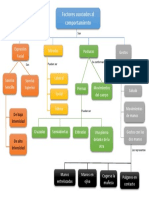 Fundamentos