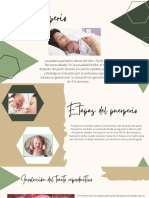 Materno Fetal Rotacion en Ginecologia PDF