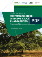 Guía para La Identificación de Insectos Asociados Al Algarrobo Prosopis Pallida PDF