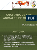 1era Clase de Anatomia 2011 - I