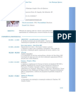 Curriculum Vitae 2022 ServiÃ Os Gerais - Juquehy - LuÃ - S Henrique-1 PDF