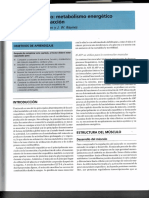 Baynes 2daedicion - Músculo PDF