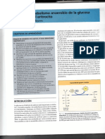 Baynes 2daedicion - Metabolismo Eritrocito PDF