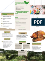Cartilla o Folleto - Archivo 2 PDF