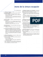 CLASE 3 - Musculos Rotadores y Movimientos Del hombro-Kapandji-BBPM2 - PDF