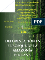 Collage Sobre La Deforestacion en El Bosque de La Amazonia Peruana