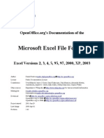 Excel File Format