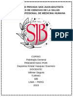 CURSO Patología General PRESENTADO POR Dayanna Kristal Vasquez Guerrero DOCENTE Wilmer Segura TURNO MB LIMA - PERÚ 2023 PDF