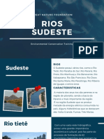Rios Sudeste e conservação ambiental