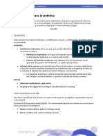 Indicaciones Practica PDF