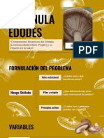 Shiitake PDF