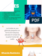 tiroides (1).pdf