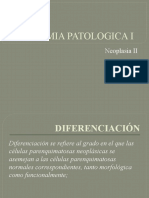 Neoplasia Ii Anaplasia y Diferenciacion 3