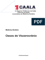 Grupo nº 5 - Ossos do Viscerocrânio