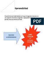 Hipersensibilidad PPP PDF