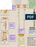 AnettheRamírez TF Flashcard (Peroné) PDF