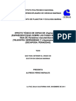 Efecto tóxico de cepas de Chattonella spp. sobre peces y camarones