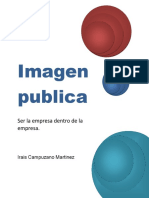 Imagen Publica, Contexto General PDF