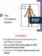 Circulatory System REVISED