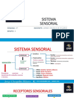Sistema Sensorial-Copiar PDF