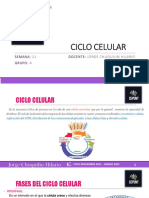 Ciclo Celular-Copiar PDF