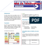 Que Estudia La Taxonomia para Quinto Grado de Secundaria