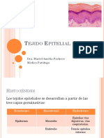 Epitelios PDF