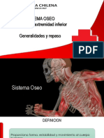 Clase 4.0 - 5.0 Osteologia PDF