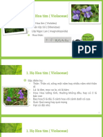 PL Ngoc Lan 4 PDF