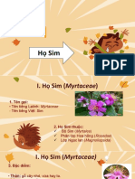 PL Ngoc Lan 6 PDF