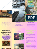 TRABAJO 1 tRIPTICO EL CONGO PDF