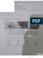 Us SBK PDF