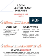 LG 2.4 - Selected Plant Diseases (Part 2) PDF