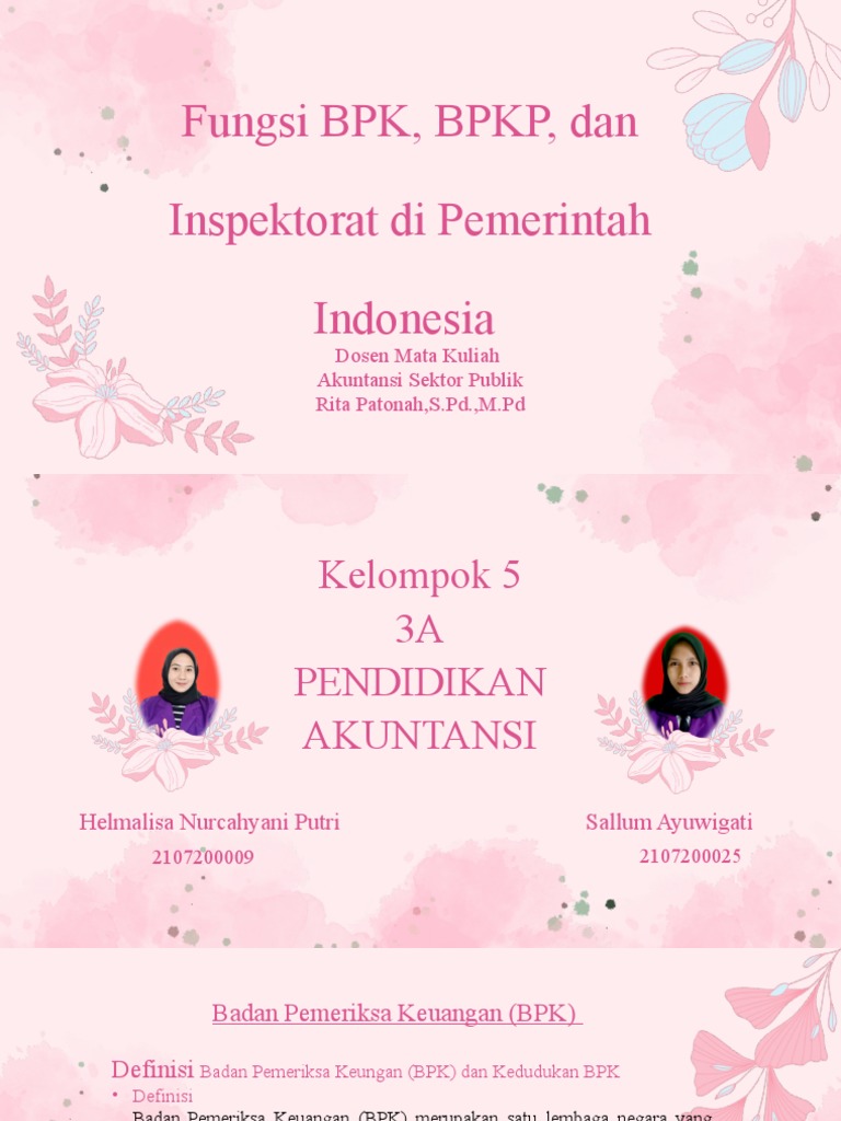 Fungsi Bpk Bpkp Dan Inspektorat Di Pemerintah Indonesia Pdf